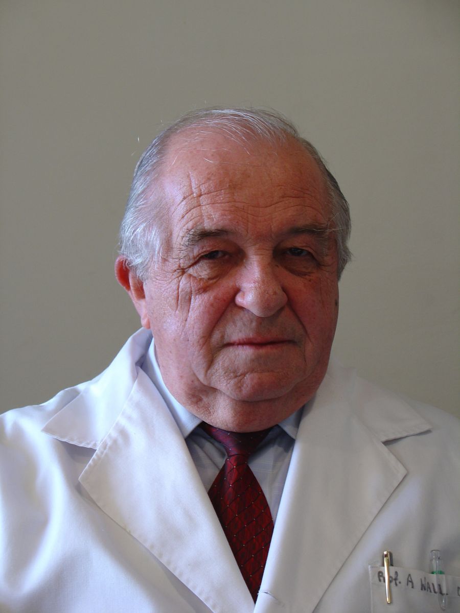 Prof. Andrzej Wall umedwroc